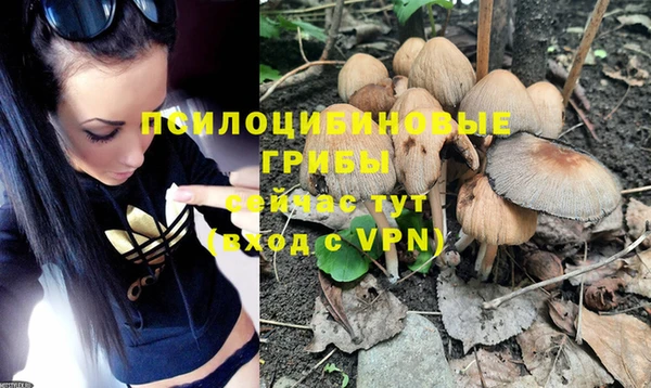 твердый Няндома