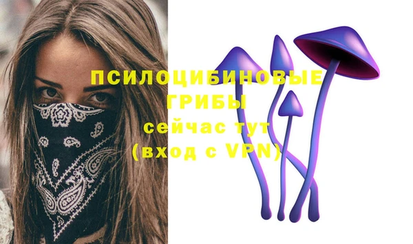 твердый Няндома